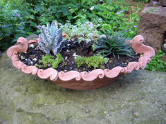 Schalen_2
